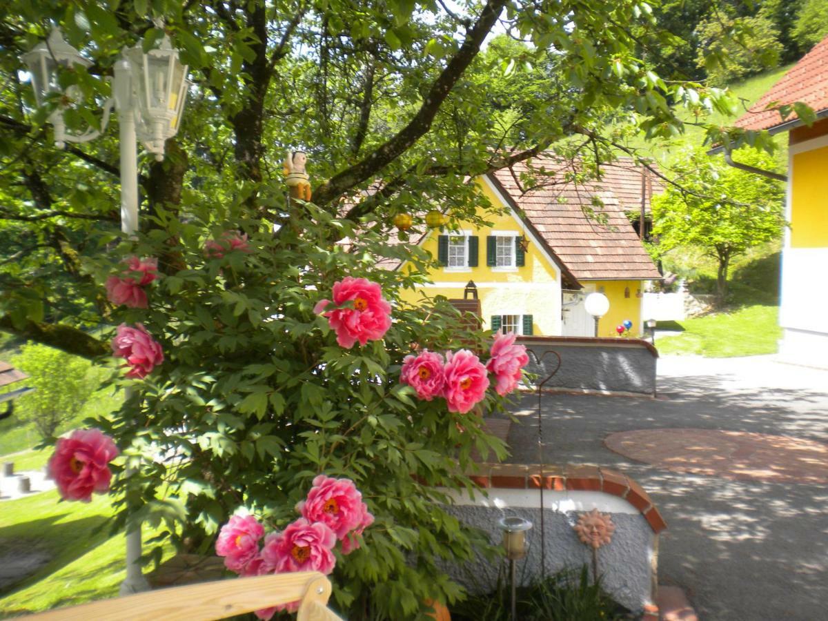 Buchschneider - Ferienhaus Maier - Landhof Schwarzautal Dış mekan fotoğraf