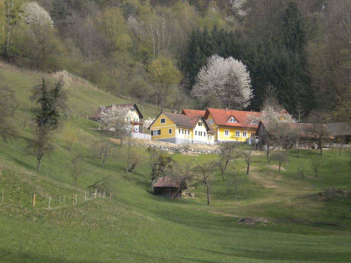 Buchschneider - Ferienhaus Maier - Landhof Schwarzautal Dış mekan fotoğraf