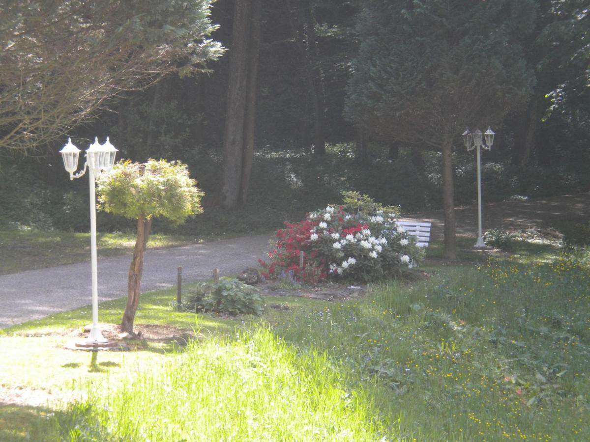Buchschneider - Ferienhaus Maier - Landhof Schwarzautal Dış mekan fotoğraf